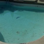 Los Angeles Swimming Pool Resurfacing